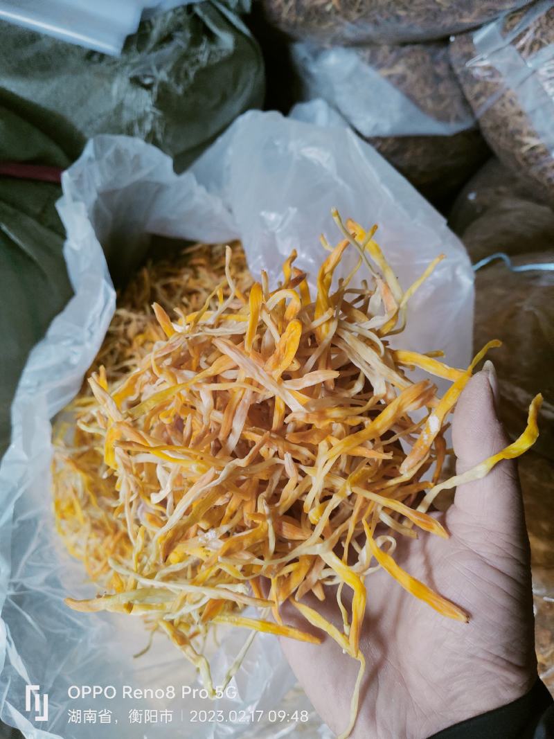 凉菜专用脱水黄花菜泡发率高，颜色鲜艳，口感脆甜产地直供