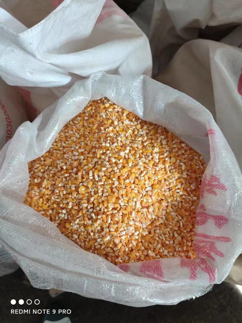 黑龙江鸡西鸡冠区东北大碴子，玉米，玉米粒干大量上市