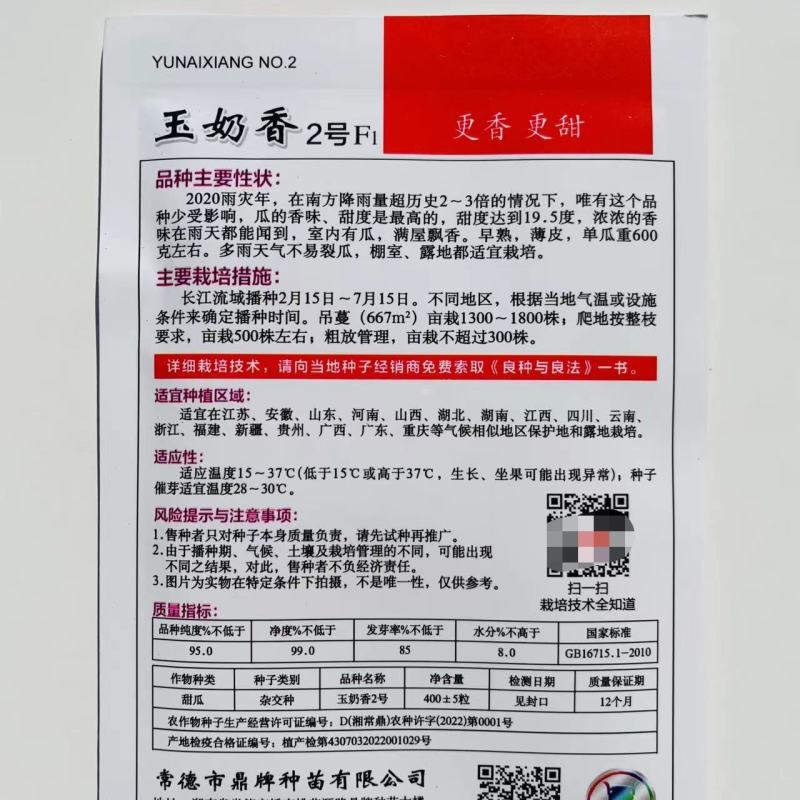 高糖甜瓜种子玉奶香2号早熟薄皮适合露地保护地栽培