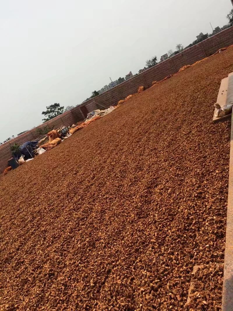 徐闻梁姜