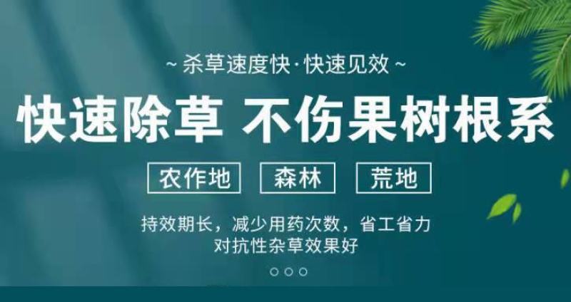 50斤大桶草铵膦除草剂草胺膦除草不伤果根农药果园厂家直销