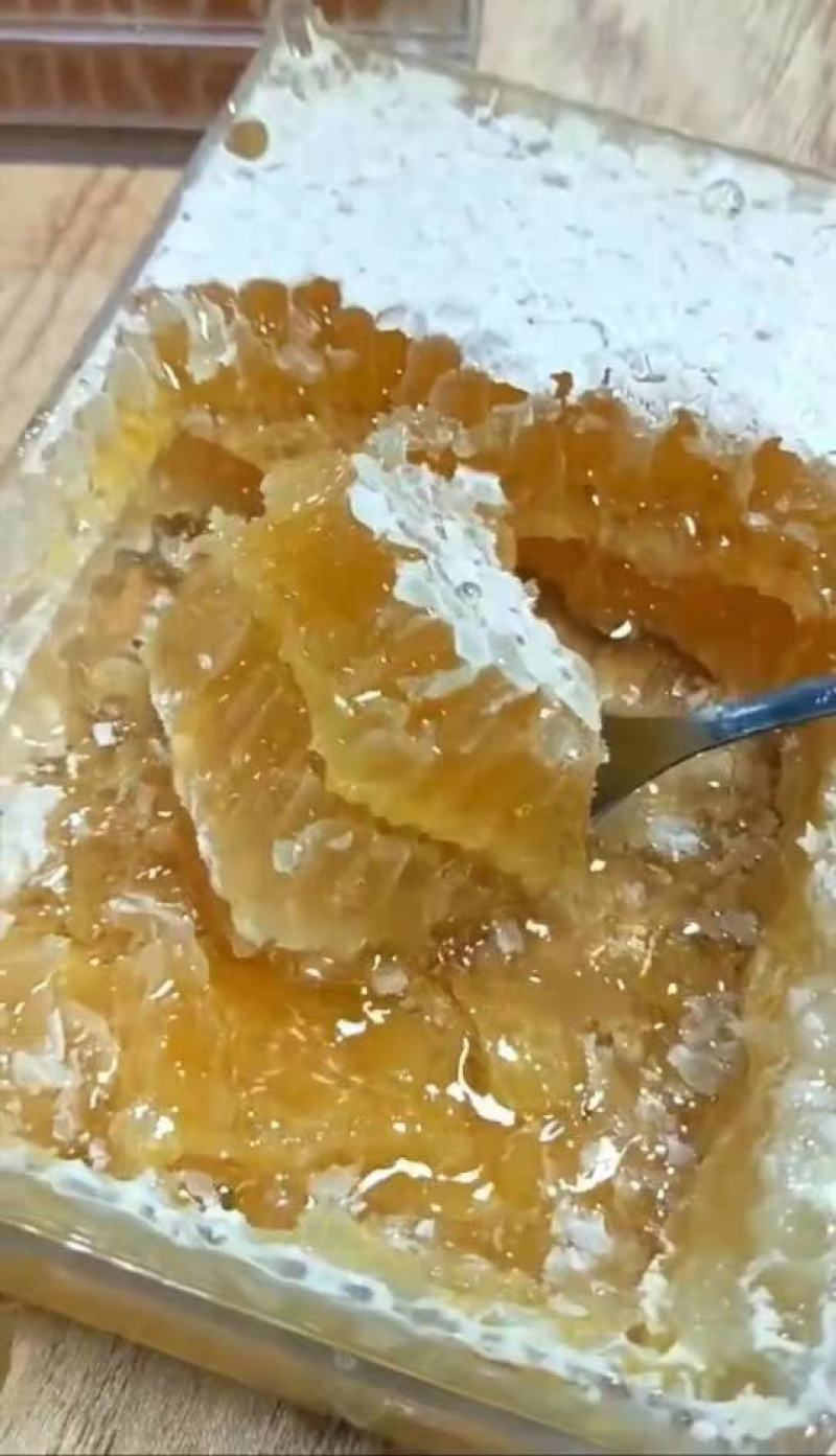 陕西秦岭山区野生蜂巢蜜