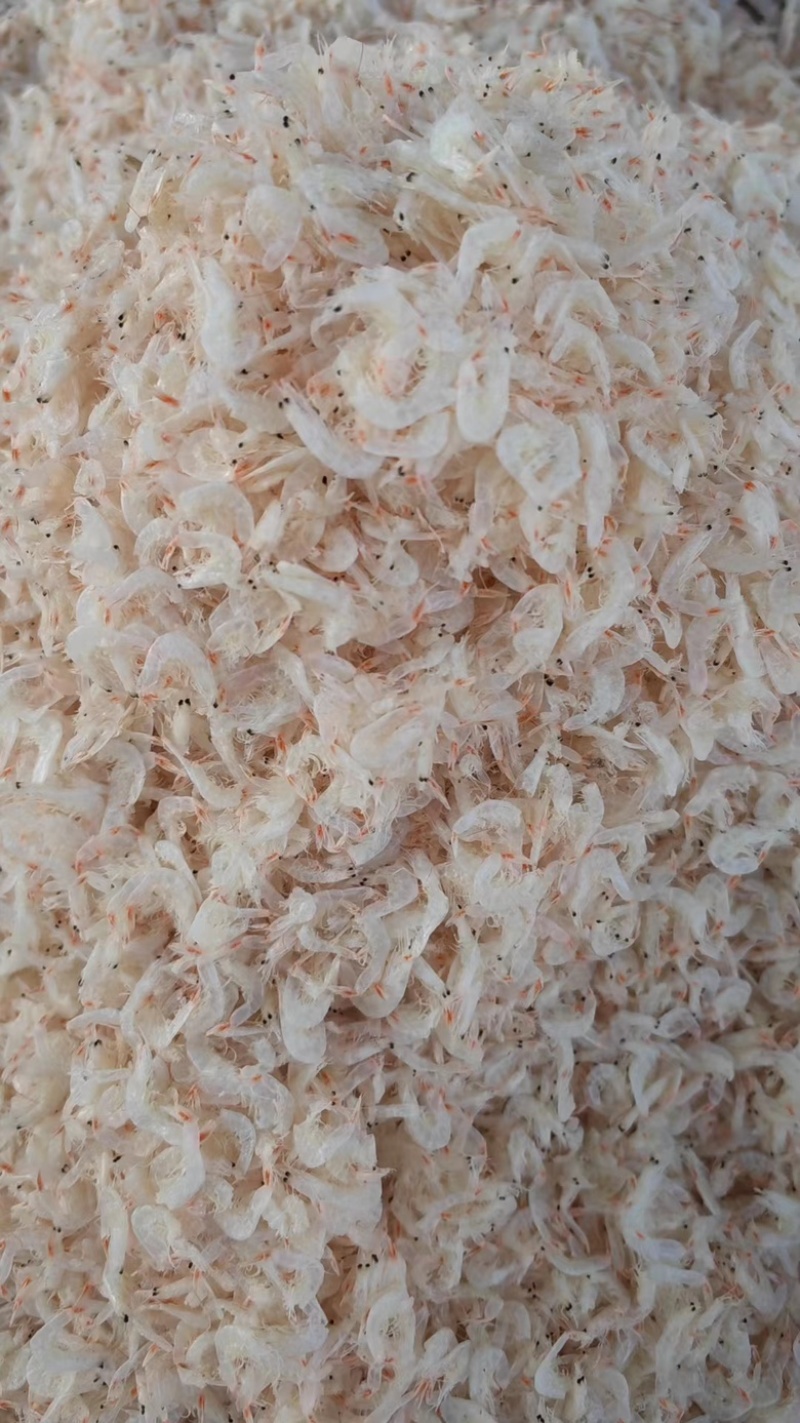 淡干无盐虾皮规格齐全味道美味货源充足！
