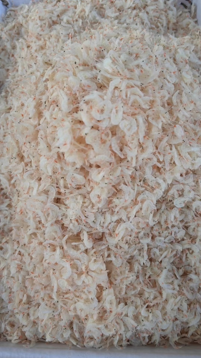 淡干无盐虾皮规格齐全味道美味货源充足！