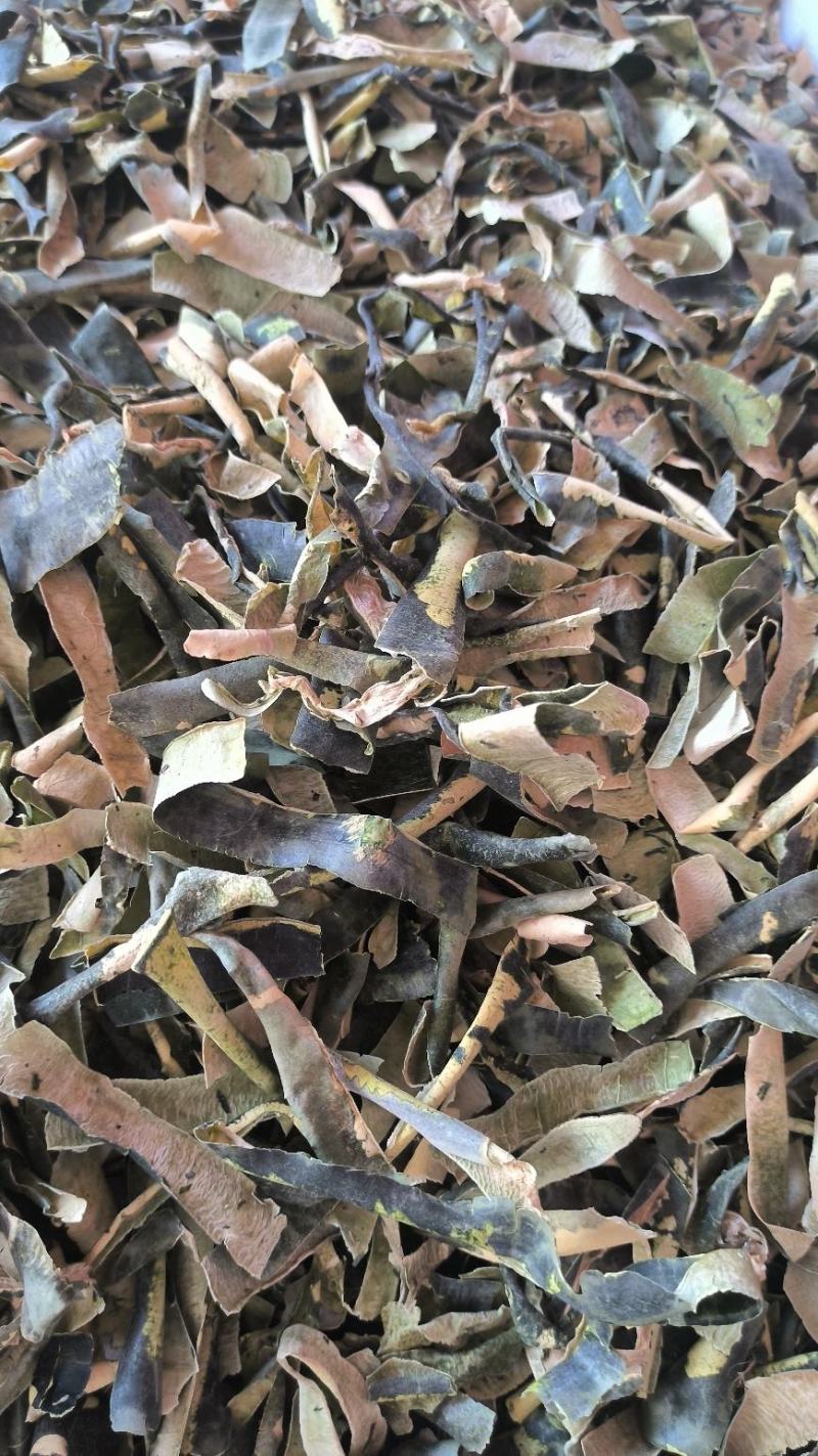 新货冬瓜皮干冬瓜皮可打粉无硫新货常年加工