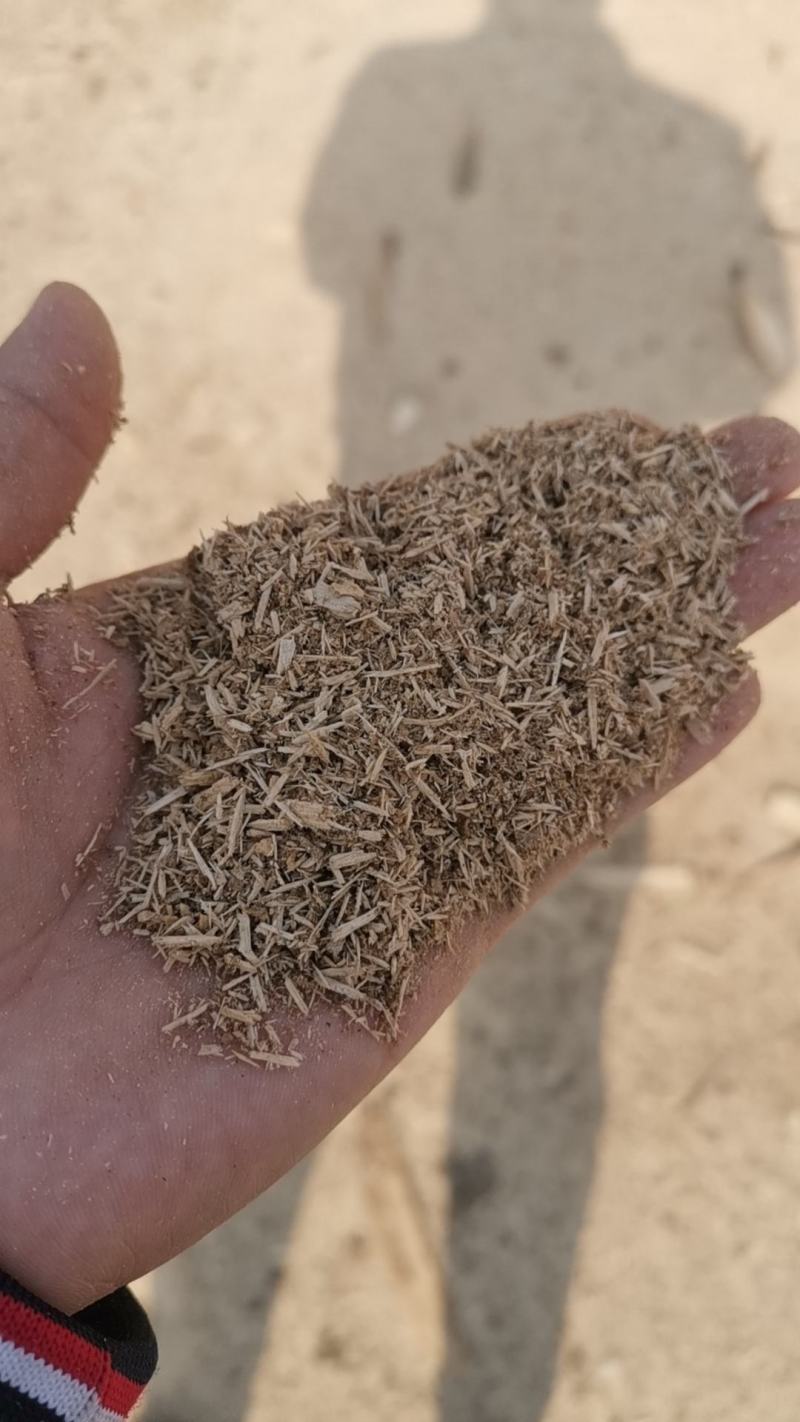 大量桐木锯末出售价格便宜，过筛装车，厂家有车随时都可以发