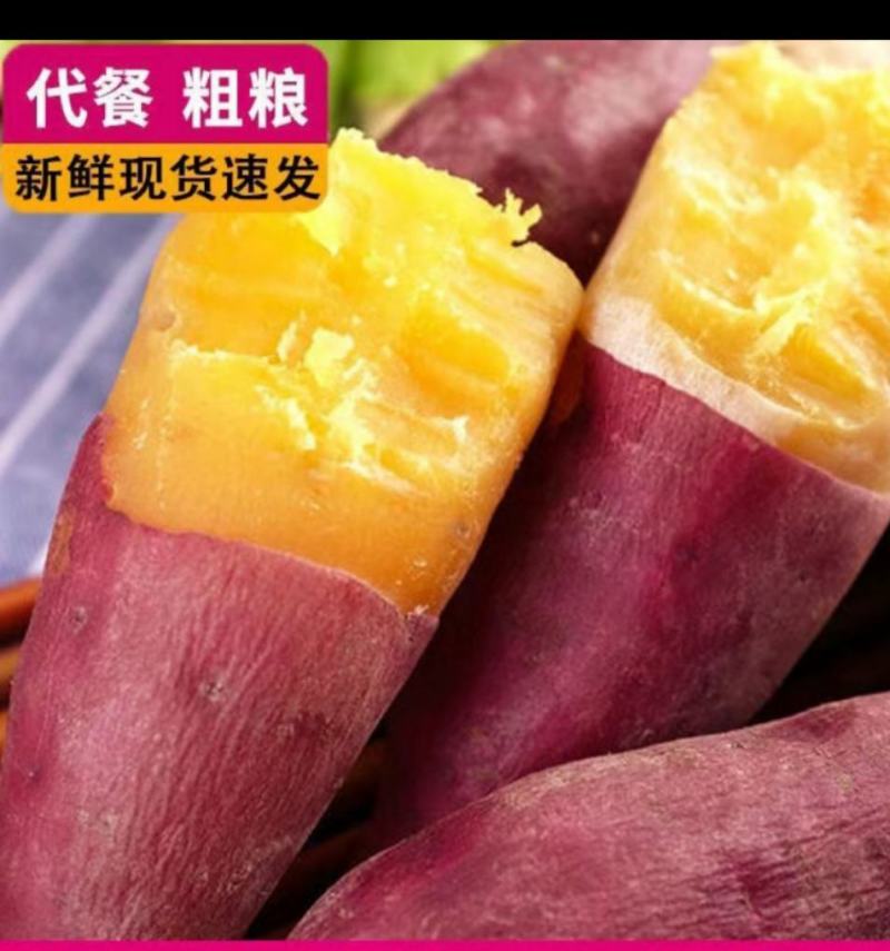 板栗薯原叶紫罗兰