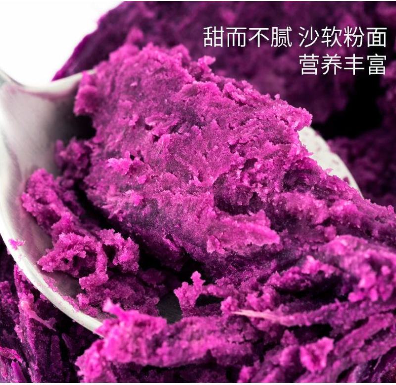 板栗薯原叶紫罗兰