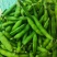 弥渡水果蚕豆大量上市中货好价格低