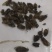 特大牛氓虫牛蝇单个足两公分特大个欢迎选购一公斤一袋
