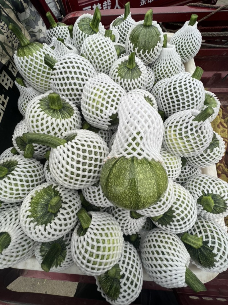 四川，小南瓜6~9两嫩圆南瓜，精品南瓜，翡翠南瓜