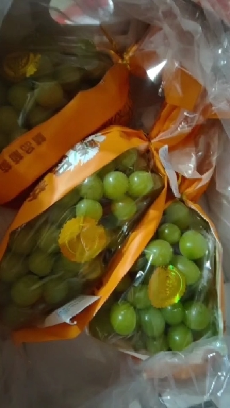 阳光玫瑰礼盒装货源充足，价格优惠质量保证大量出货中