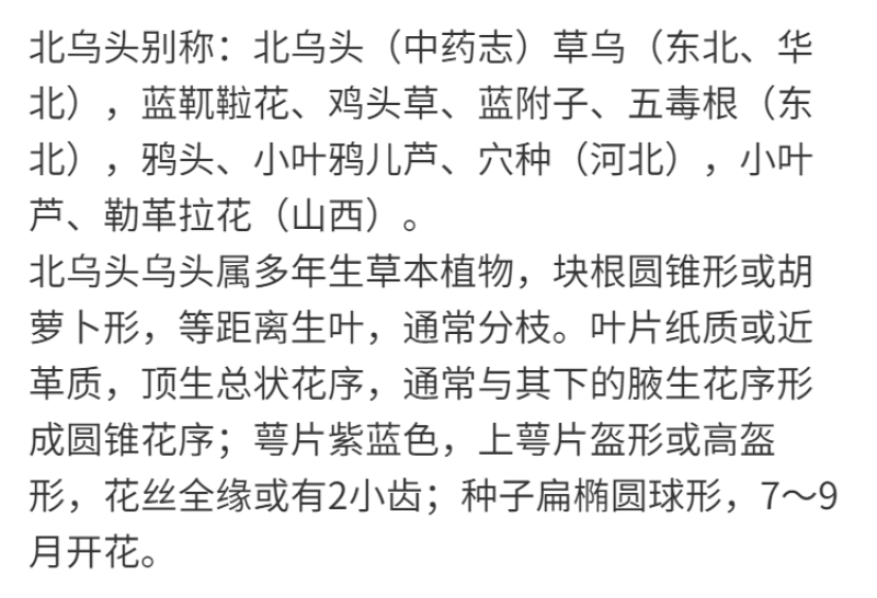 东北野生北乌头种子中草药植物南北方庭院盆栽地载观赏新奇花