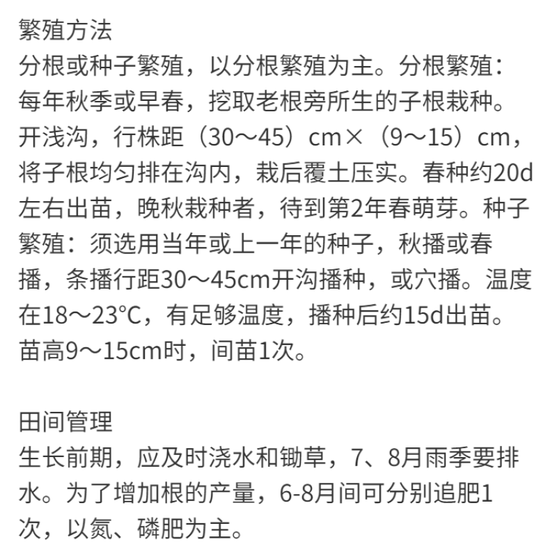 东北野生北乌头种子中草药植物南北方庭院盆栽地载观赏新奇花