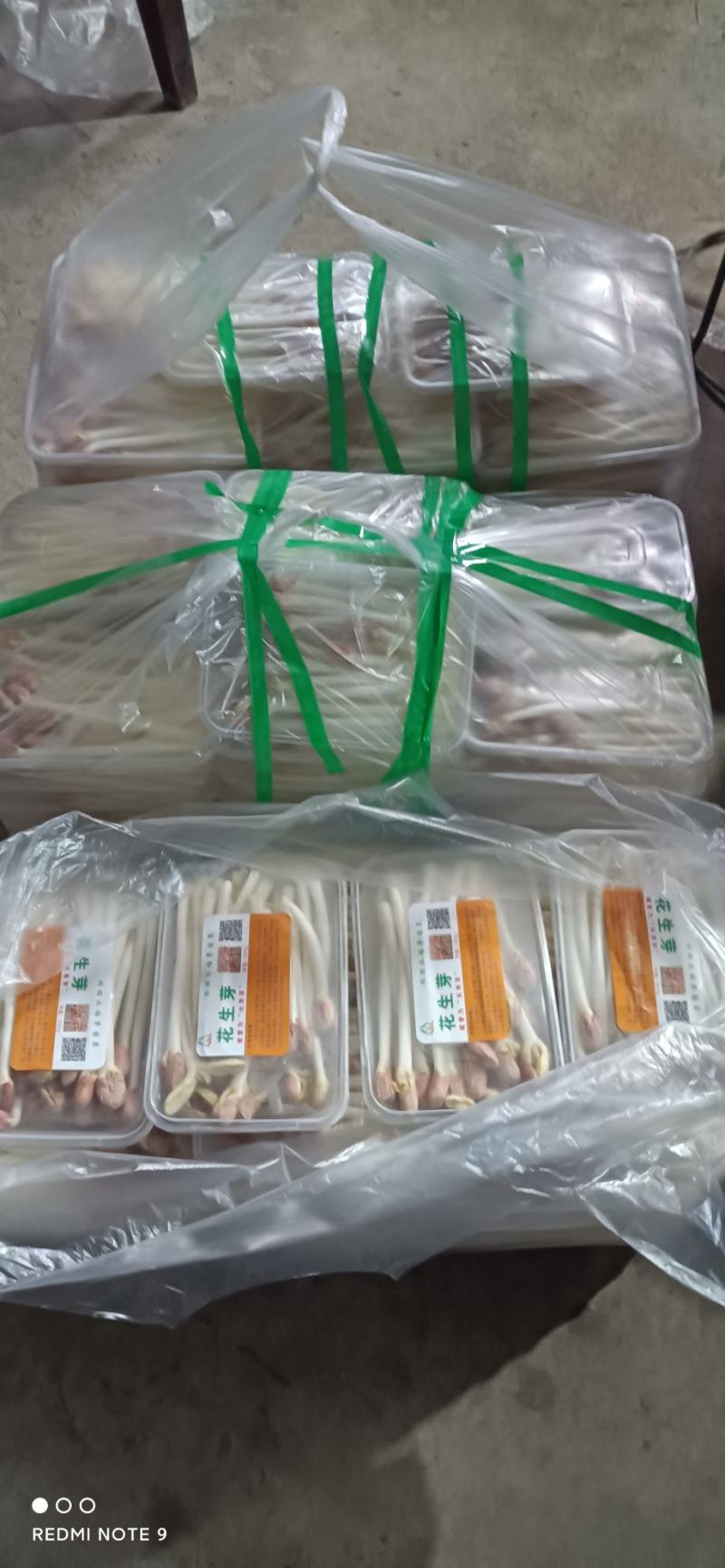雨旺芽苗菜，花生芽，香椿苗，豌豆苗，货源充足，长年供货。