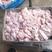 常年生产母猪小花场欢迎选购猪副产品鲜冻母猪小花肠欢迎咨询