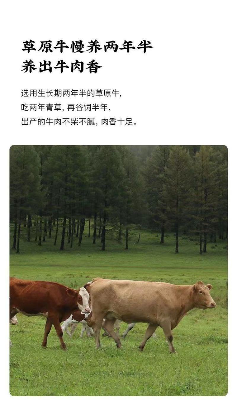 带货同款番茄牛腩牛肉速食懒人预制菜加热即食炖火锅料理包袋