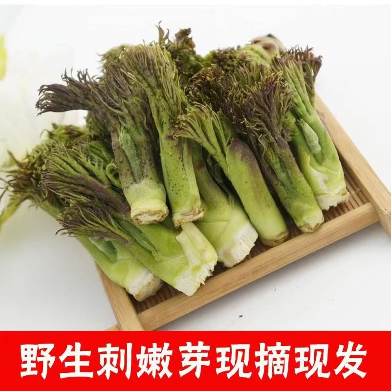 刺嫩芽、生态应季美食、品质甄选带回家、老少皆宜、口感脆嫩