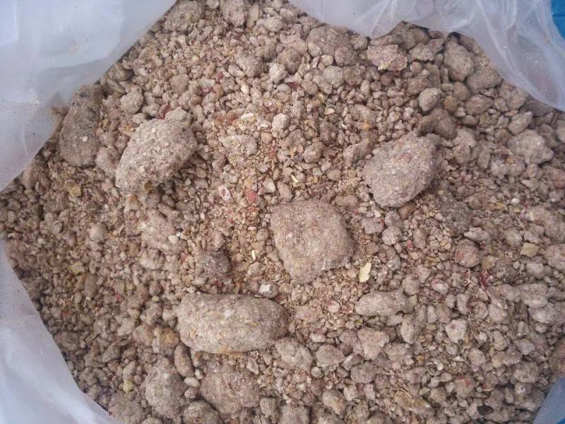 厂家直销花生粕猪牛羊饲料质量有保证花生
