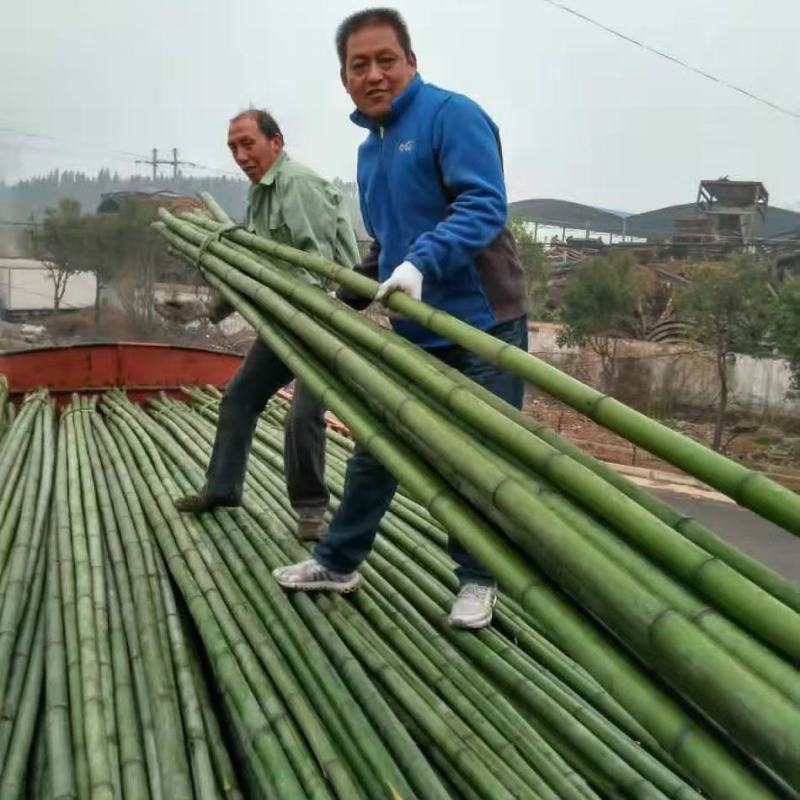 【精品竹筒】竹筒粽子竹片竹签竹竿新鲜竹子品种规格齐全电联