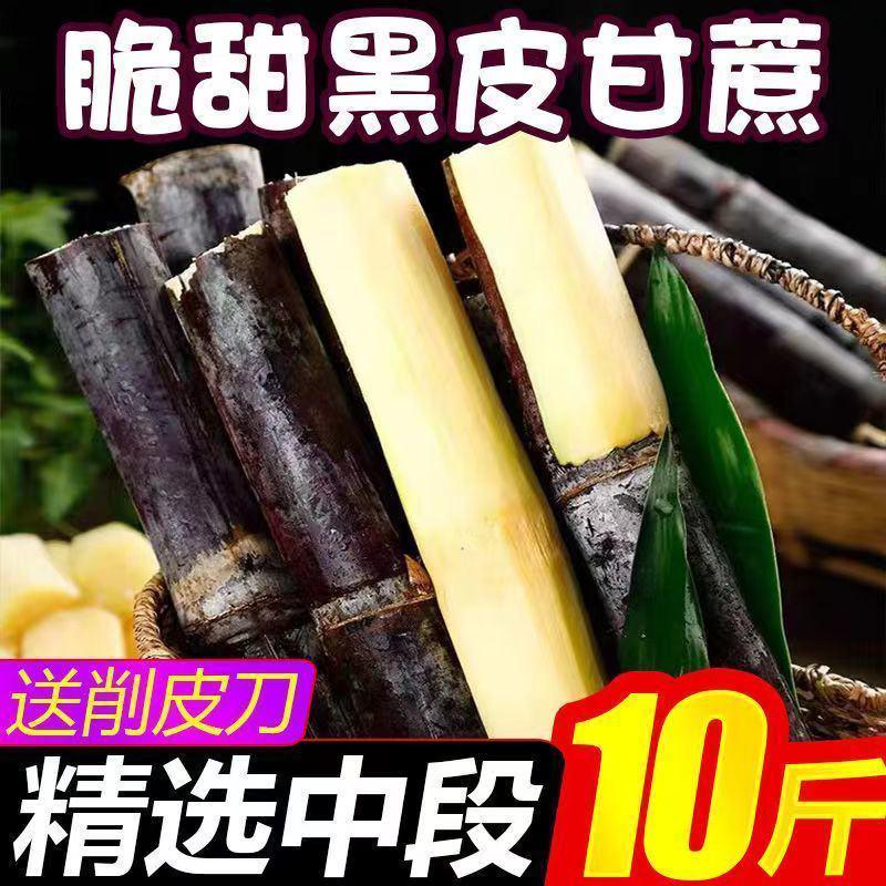 【整箱批发】台州黑皮甘蔗新鲜水果当季现砍甜汁紫皮甘蔗
