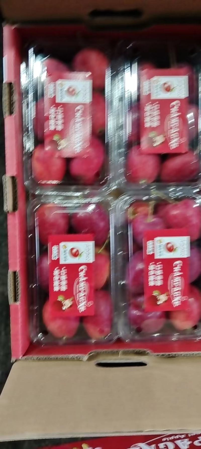 鸡心果，海棠果，沙果，小苹果