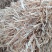 揉丝小麦秆