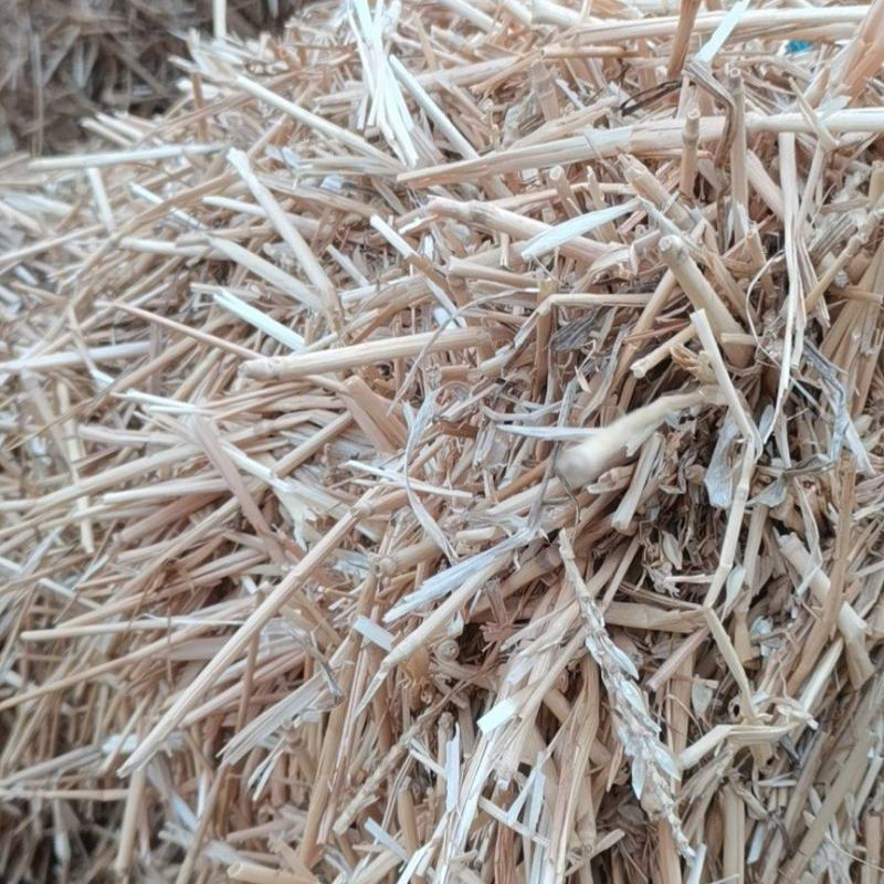 揉丝小麦秆