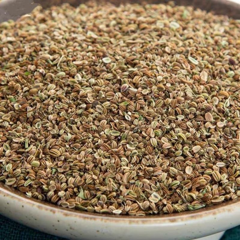 蛇床子祥泰药材栈中药材批发零售实物拍摄量多从优