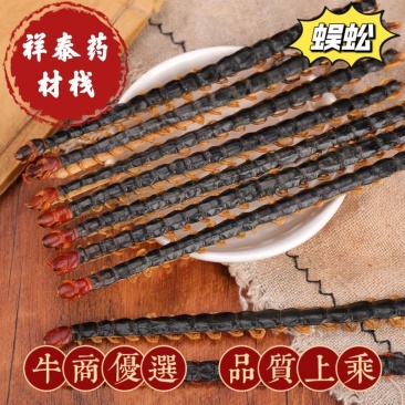 蜈蚣13-14厘米左右各种规格欢迎购买祥泰药