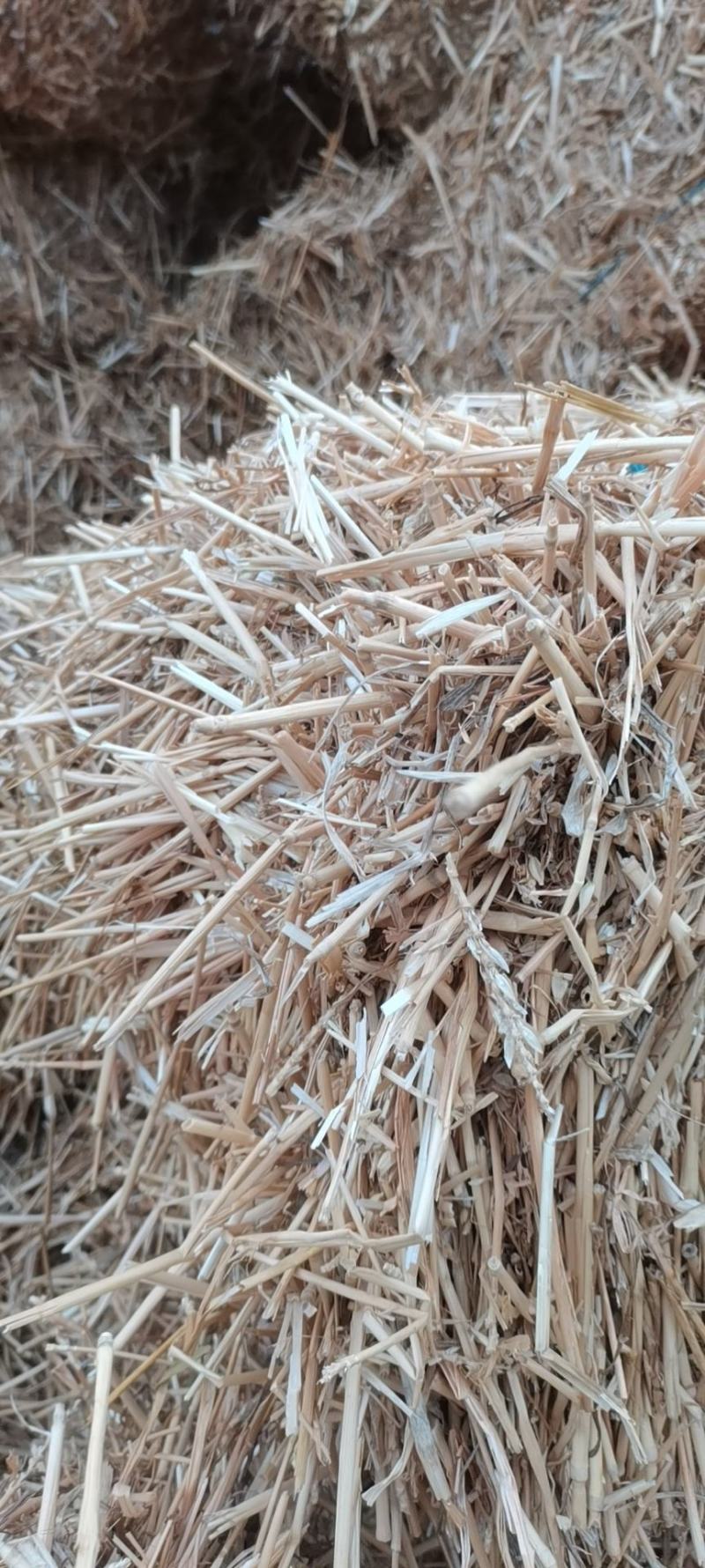 揉丝小麦秆