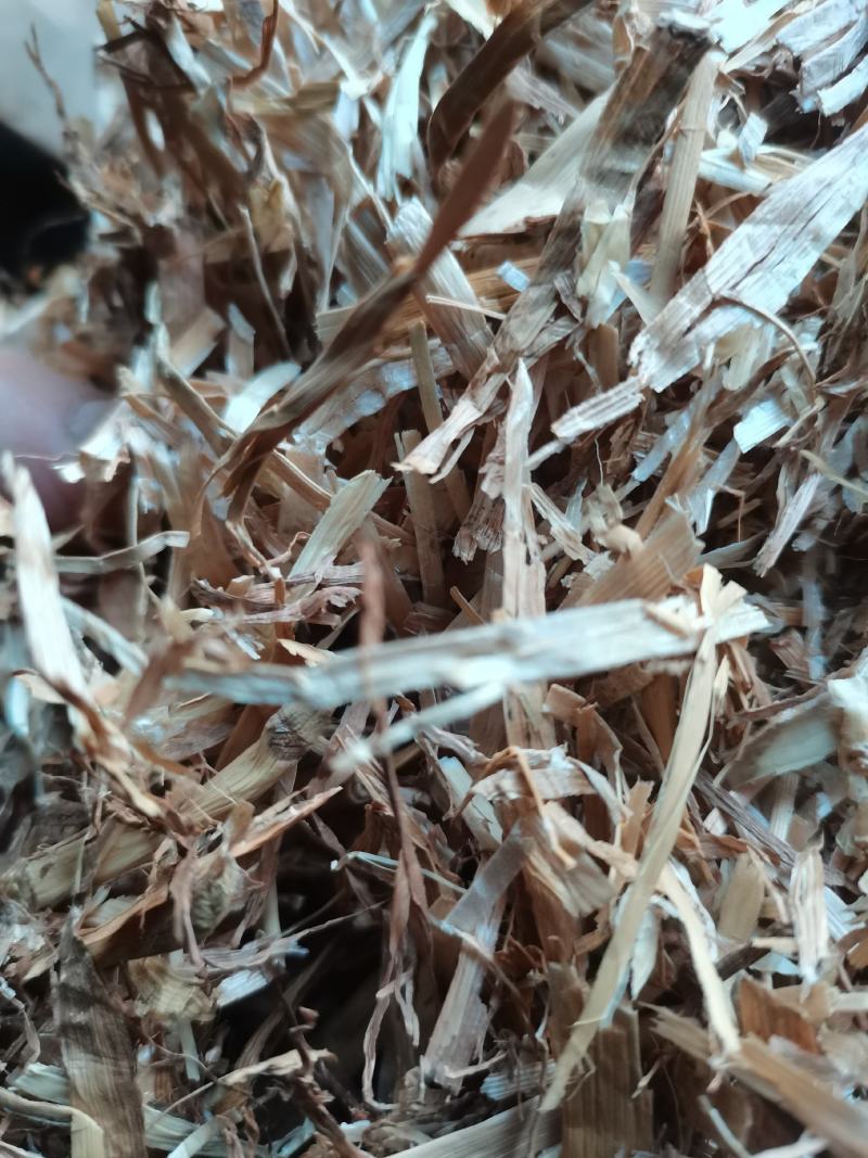 揉丝小麦秆