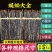 蜈蚣13-14厘米左右各种规格欢迎购买祥泰药