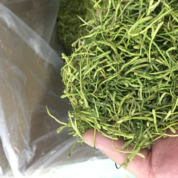 精品茶用金银花