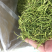 精品茶用金银花