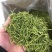 精品茶用金银花