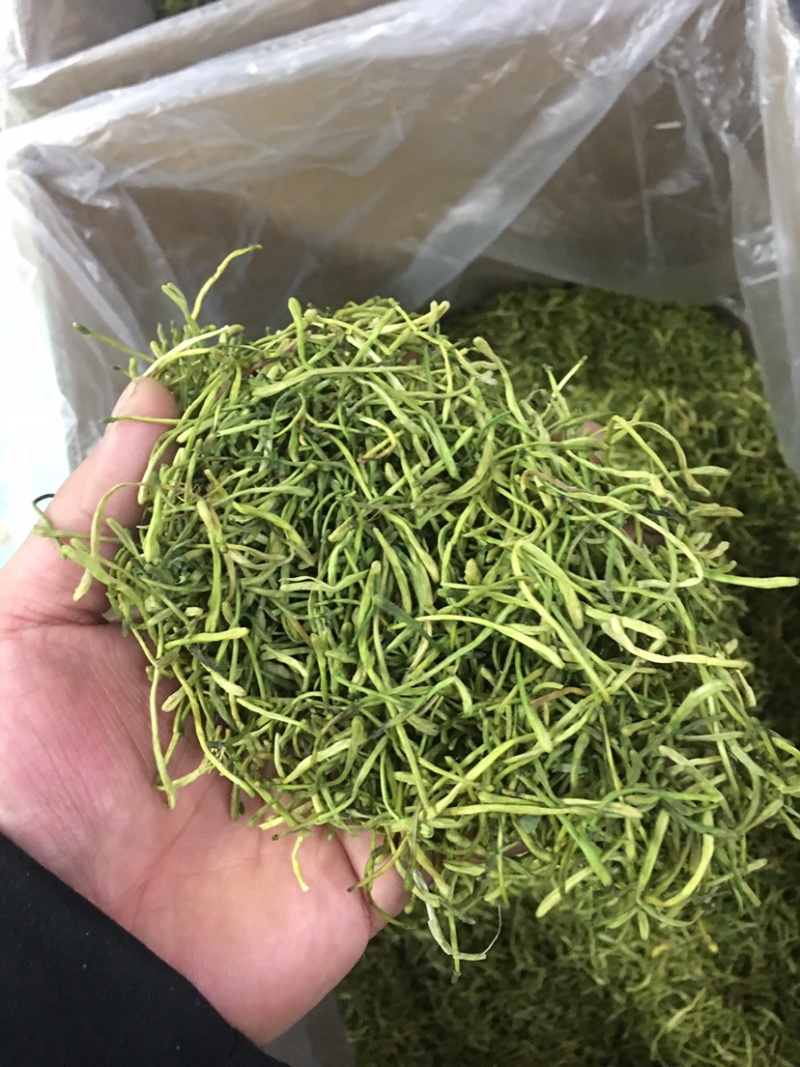 精品茶用金银花