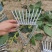毛豆筛子剥豆剥皮器农用纯摘豆角神器最新款豆子手工