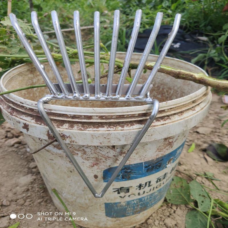 毛豆筛子剥豆剥皮器农用纯摘豆角神器最新款豆子手工