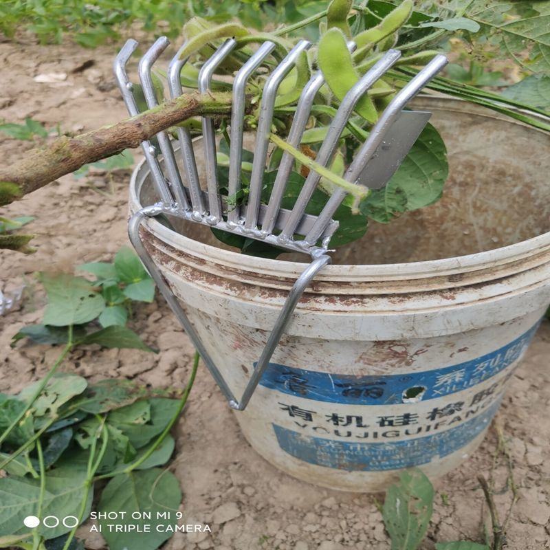 毛豆筛子剥豆剥皮器农用纯摘豆角神器最新款豆子手工