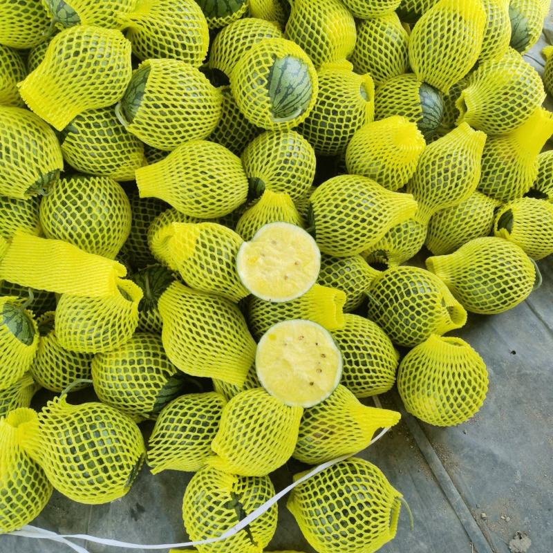 沭阳县特小凤西瓜大量上市嚷口好熟度好坏果包赔视频看货实地看货