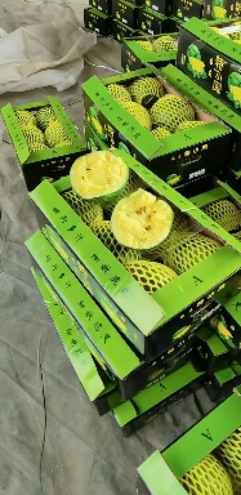 沭阳县特小凤西瓜大量上市嚷口好熟度好坏果包赔视频看货实地看货