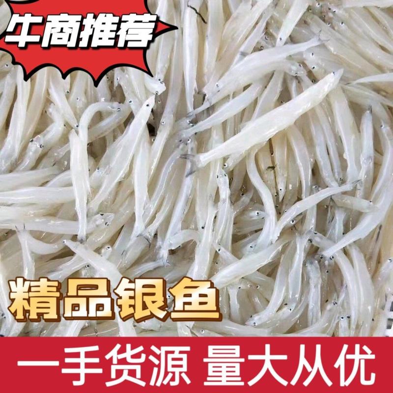 丹江口精品银鱼冻货一手货源品质保障量大从优