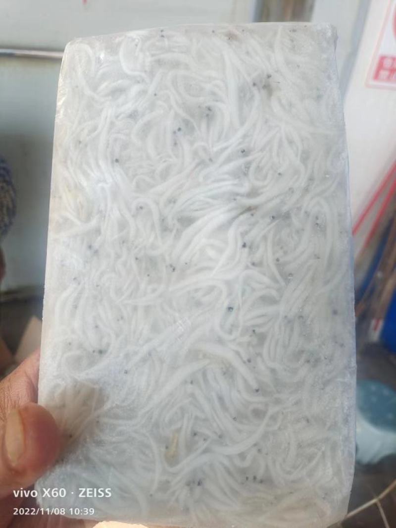 丹江口精品银鱼冻货一手货源品质保障量大从优