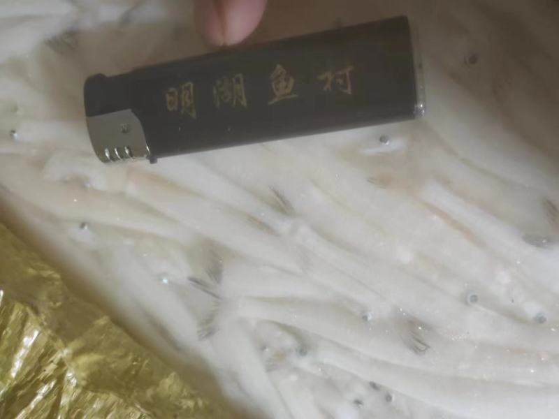 丹江口精品银鱼冻货一手货源品质保障量大从优