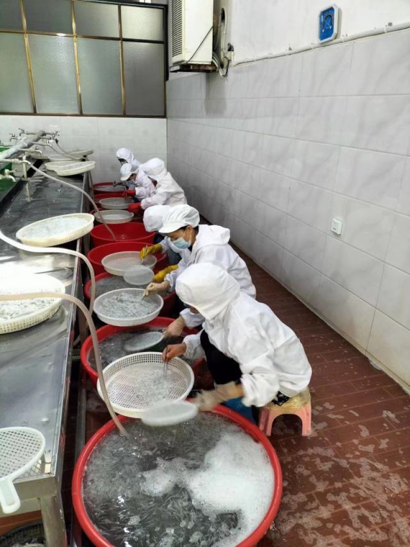 丹江口精品银鱼冻货一手货源品质保障量大从优