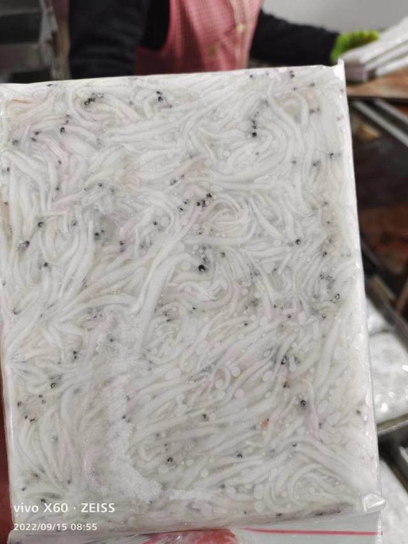 丹江口精品银鱼冻货一手货源品质保障量大从优