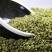 正宗青花椒特麻筒装批发麻辣新鲜青花椒调味品调料青椒