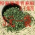 正宗青花椒特麻筒装批发麻辣新鲜青花椒调味品调料青椒