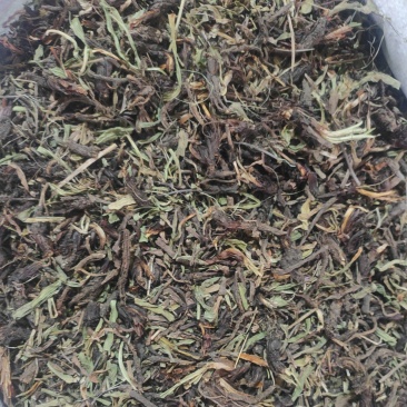 甘松干货甘松中药材常年经营各种中药材欢迎选购！